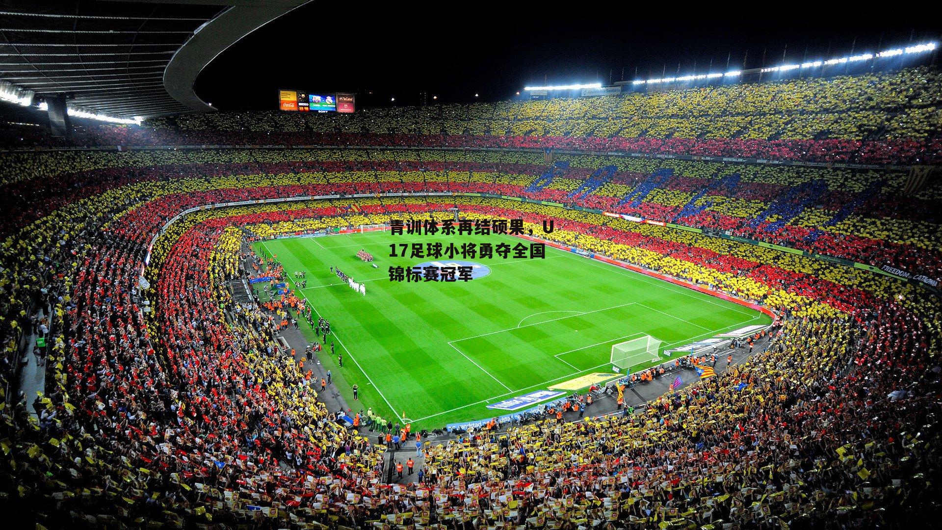 青训体系再结硕果，U17足球小将勇夺全国锦标赛冠军-yy易游体育官网
