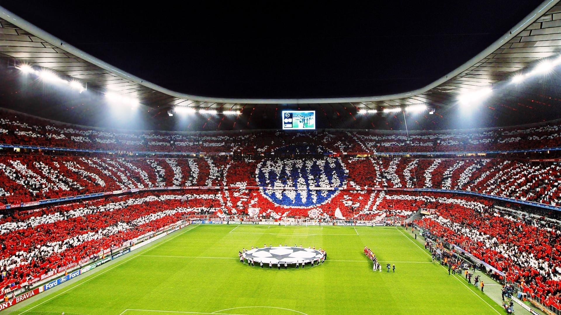 归化球员助力国家队,国际赛场展现新面貌